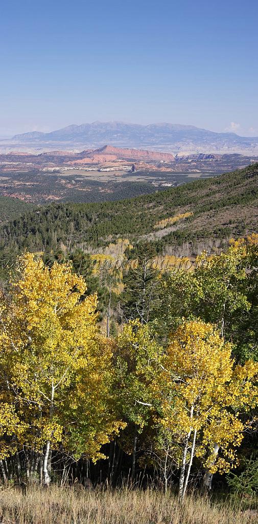 9079_12_10_2010_torrey_utah_colorful_tree_lake_forest_landscape_red_rock_color_outlook_viewpoint_panoramic_photography_photo_panorama_landscape_landschaft_53_4204x8519.jpg