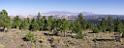 9080_12_10_2010_torrey_utah_colorful_tree_lake_forest_landscape_red_rock_color_outlook_viewpoint_panoramic_photography_photo_panorama_landscape_landschaft_54_10774x4184