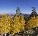 9082_12_10_2010_torrey_utah_colorful_tree_lake_forest_landscape_red_rock_color_outlook_viewpoint_panoramic_photography_photo_panorama_landscape_landschaft_56_6282x5964