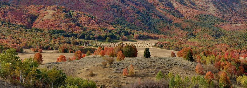 13021_23_09_2012_wellsville_utah_tree_autumn_color_colorful_fall_foliage_leaves_mountain_forest_panoramic_landscape_photography_panorama_landschaft_foto_21_19512x6948.jpg