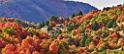 13012_23_09_2012_wellsville_utah_tree_autumn_color_colorful_fall_foliage_leaves_mountain_forest_panoramic_landscape_photography_panorama_landschaft_foto_12_11768x5128