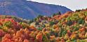 13014_23_09_2012_wellsville_utah_tree_autumn_color_colorful_fall_foliage_leaves_mountain_forest_panoramic_landscape_photography_panorama_landschaft_foto_14_11544x5659