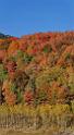 13522_02_10_2012_wellsville_utah_tree_autumn_color_colorful_fall_foliage_leaves_mountain_forest_panoramic_landscape_photography_panorama_landschaft_foto_2_7219x13246