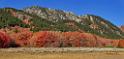 13527_02_10_2012_wellsville_utah_tree_autumn_color_colorful_fall_foliage_leaves_mountain_forest_panoramic_landscape_photography_panorama_landschaft_foto_7_16576x7950