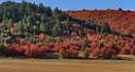 13530_02_10_2012_wellsville_utah_tree_autumn_color_colorful_fall_foliage_leaves_mountain_forest_panoramic_landscape_photography_panorama_landschaft_foto_10_13386x7066