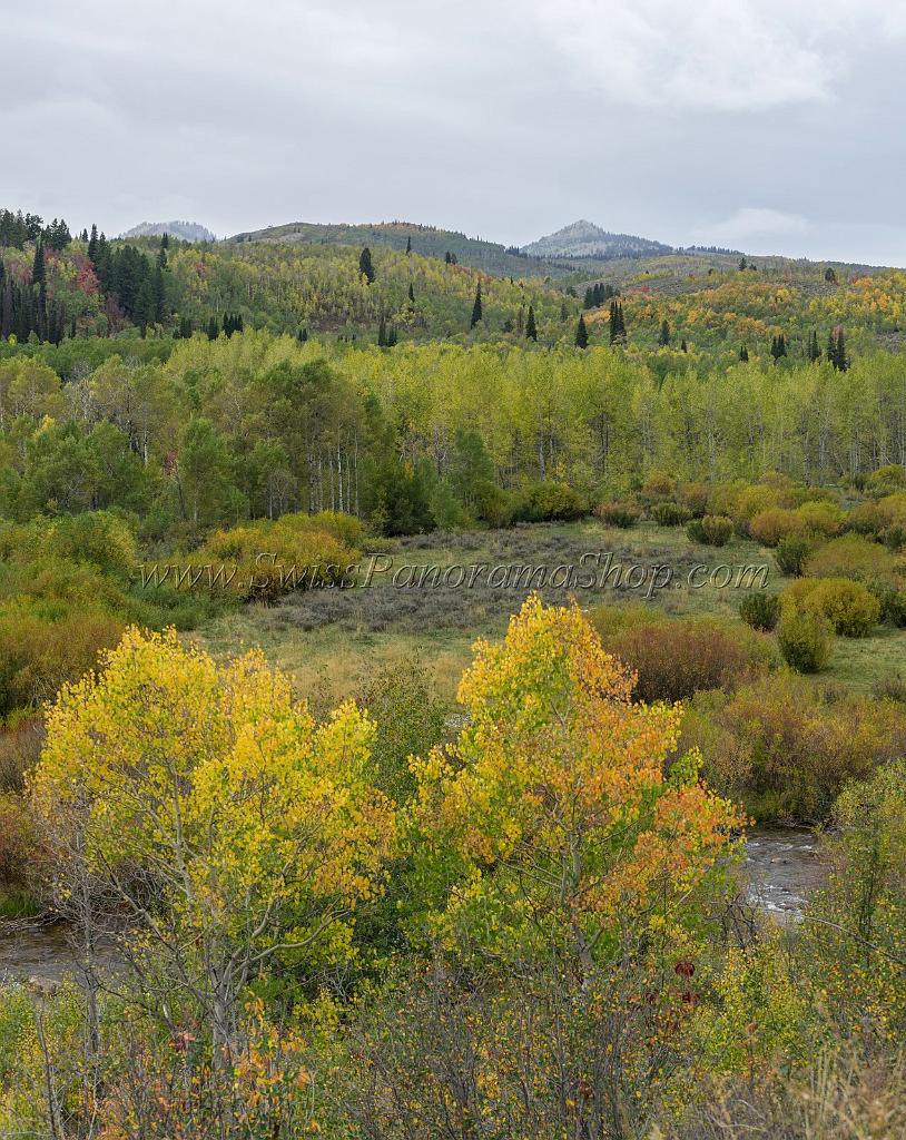 15851_21_09_2014_white_pine_creek_utah_autumn_color_colorful_fall_foliage_viewpoint_forest_panoramic_landscape_photography_landschaft_foto_bach_32_7029x8839
