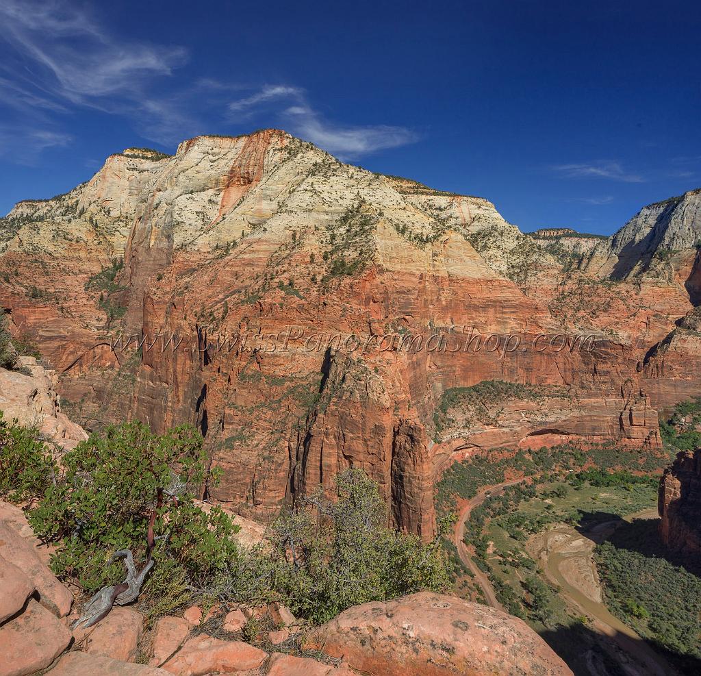 15923_30_09_2014_zion_national_park_angels_landing_trail_utah_autumn_red_rock_blue_sky_fall_color_colorful_tree_mountain_forest_panoramic_landscape_photography_53_7159x6901.jpg