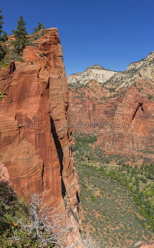 15933_30_09_2014_zion_national_park_angels_landing_trail_utah_autumn_red_rock_blue_sky_fall_color_colorful_tree_mountain_forest_panoramic_landscape_photography_43_6743x10877.jpg