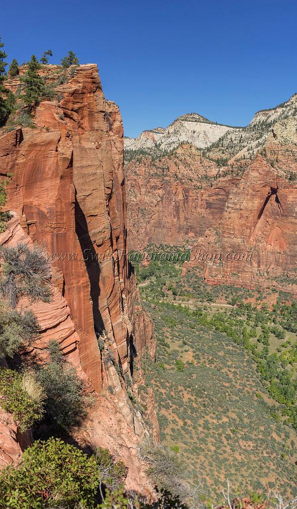 15936_30_09_2014_zion_national_park_angels_landing_trail_utah_autumn_red_rock_blue_sky_fall_color_colorful_tree_mountain_forest_panoramic_landscape_photography_40_6699x11492.jpg