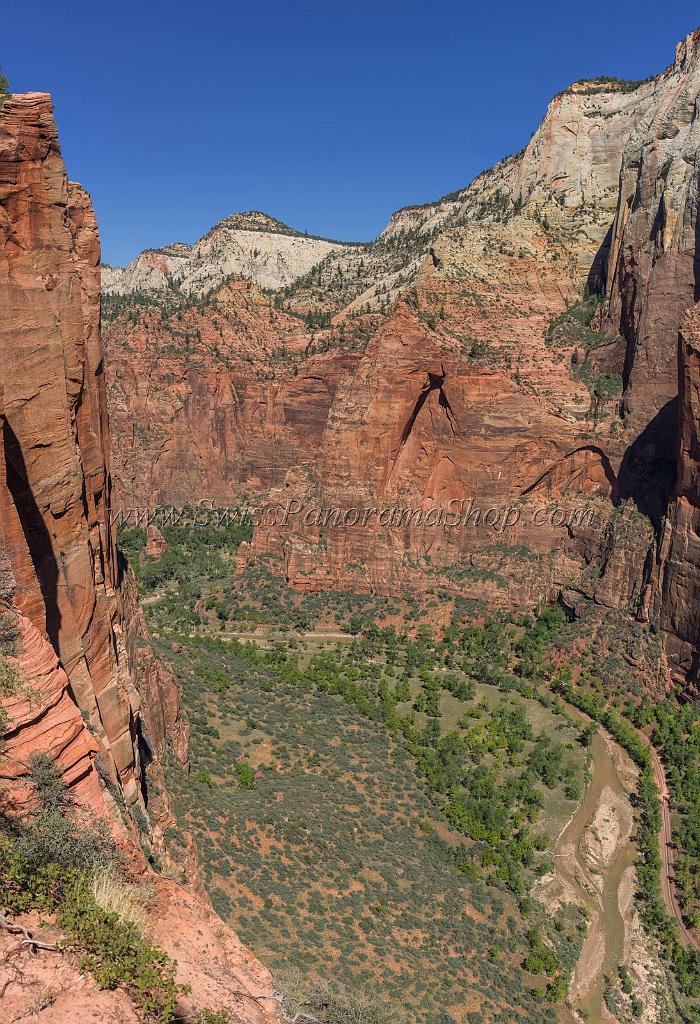 15937_30_09_2014_zion_national_park_angels_landing_trail_utah_autumn_red_rock_blue_sky_fall_color_colorful_tree_mountain_forest_panoramic_landscape_photography_39_6437x9410.jpg