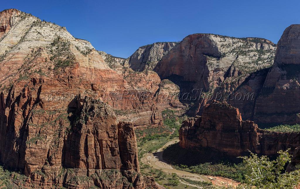 15941_30_09_2014_zion_national_park_angels_landing_trail_utah_autumn_red_rock_blue_sky_fall_color_colorful_tree_mountain_forest_panoramic_landscape_photography_31_14607x9224.jpg