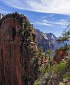 15929_30_09_2014_zion_national_park_angels_landing_trail_utah_autumn_red_rock_blue_sky_fall_color_colorful_tree_mountain_forest_panoramic_landscape_photography_47_6596x7940