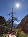 8589_08_10_2010_springdale_zion_national_park_utah_angels_landing_scenic_canyon_lookout_sky_cloud_panoramic_landscape_photography_panorama_landschaft_94_4332x5847
