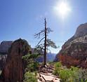 8596_08_10_2010_springdale_zion_national_park_utah_angels_landing_scenic_canyon_lookout_sky_cloud_panoramic_landscape_photography_panorama_landschaft_101_6623x6261