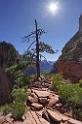 8597_08_10_2010_springdale_zion_national_park_utah_angels_landing_scenic_canyon_lookout_sky_cloud_panoramic_landscape_photography_panorama_landschaft_102_4367x6604