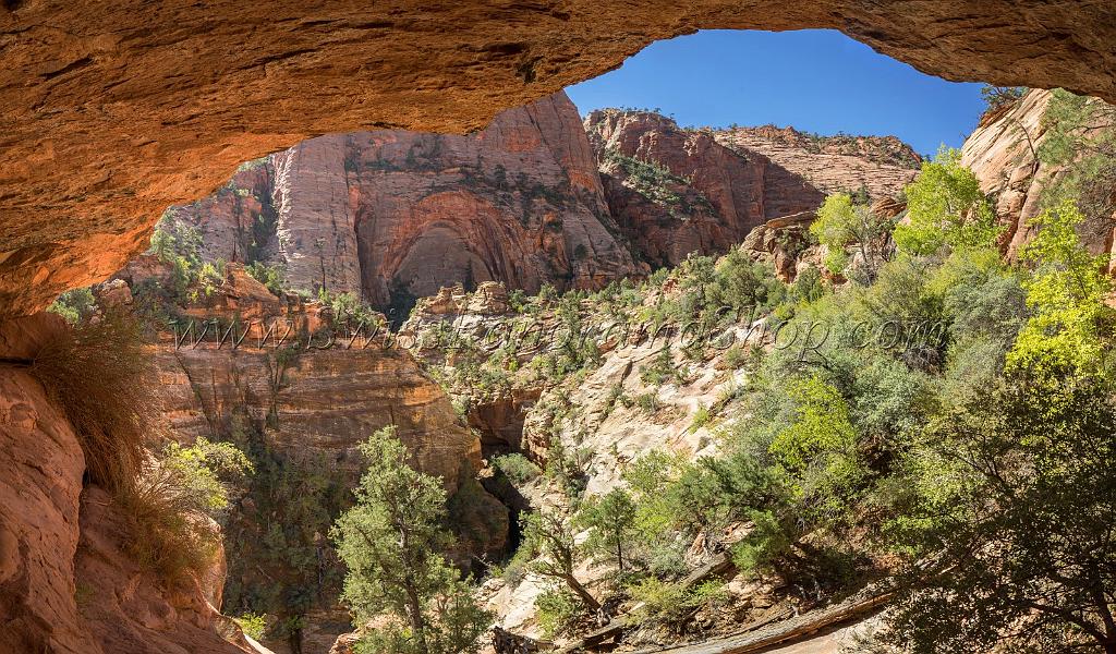 15945_30_09_2014_zion_national_park_canyon_overlook_trail_utah_autumn_red_rock_blue_sky_fall_color_colorful_tree_mountain_forest_panoramic_landscape_photography_21_11882x6962.jpg