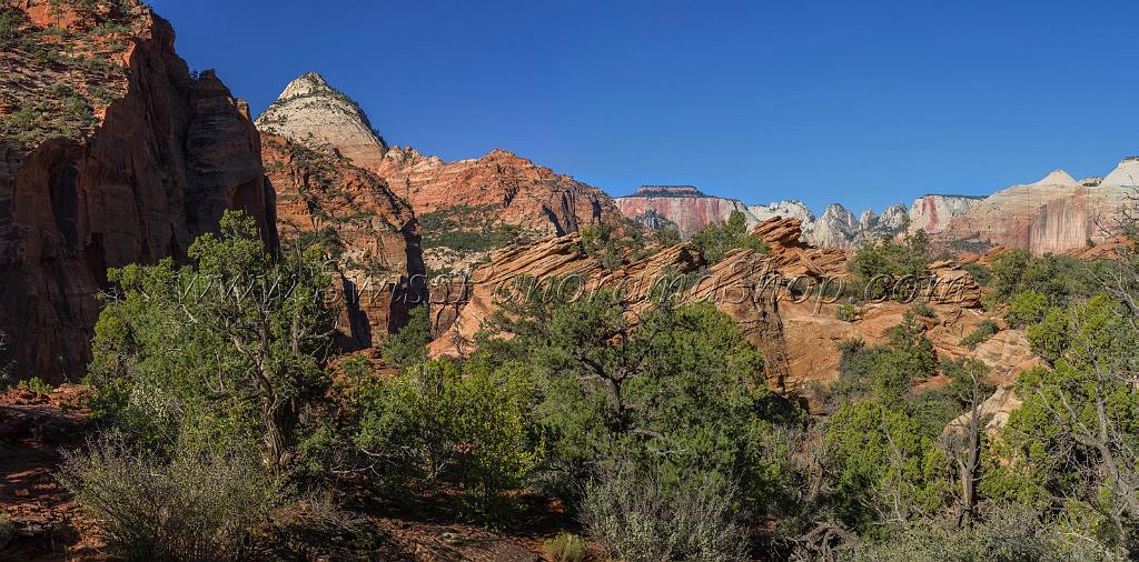 15956_30_09_2014_zion_national_park_canyon_overlook_trail_utah_autumn_red_rock_blue_sky_fall_color_colorful_tree_mountain_forest_panoramic_landscape_photography_6_13948x6887.jpg