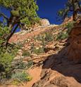 15947_30_09_2014_zion_national_park_canyon_overlook_trail_utah_autumn_red_rock_blue_sky_fall_color_colorful_tree_mountain_forest_panoramic_landscape_photography_17_7257x7817