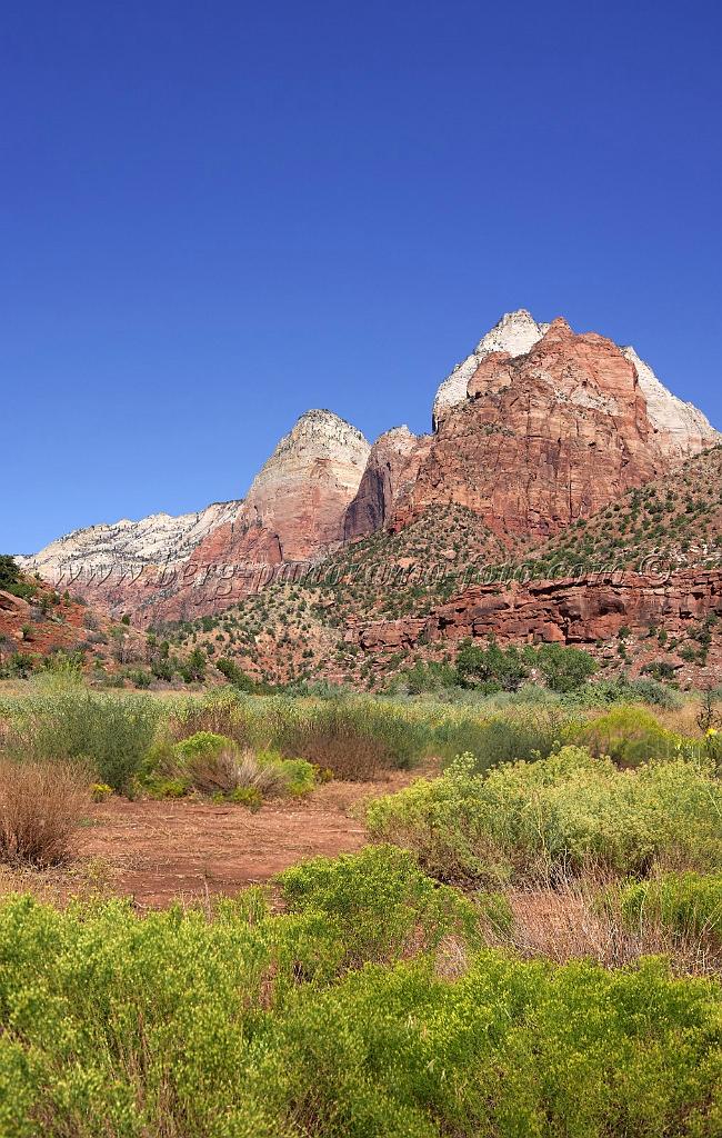 8486_07_10_2010_springdale_zion_national_park_utah_floor_of_the_valley_scenic_drive_canyon_lookout_sky_cloud_panoramic_landscape_photography_panorama_landschaft_71_4180x6585.jpg