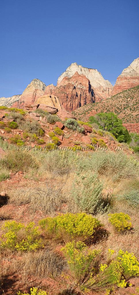 10661_12_10_2011_zion_national_park_utah_springdale_floor_valley_scenic_river_canyon_rock_sky_autum_color_tree_panoramic_landscape_photography_panorama_landschaft_67_4795x10162.jpg