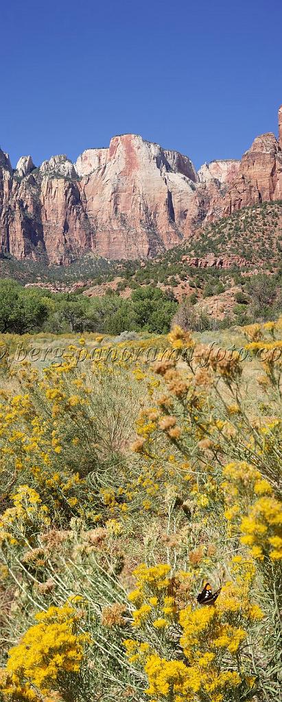 8622_08_10_2010_springdale_zion_national_park_utah_human_history_museum_scenic_drive_canyon_lookout_sky_cloud_panoramic_landscape_photography_panorama_landschaft_77_4116x10248.jpg