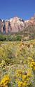 8622_08_10_2010_springdale_zion_national_park_utah_human_history_museum_scenic_drive_canyon_lookout_sky_cloud_panoramic_landscape_photography_panorama_landschaft_77_4116x10248