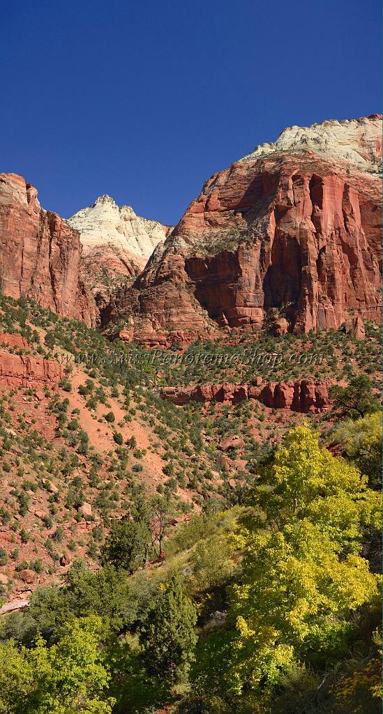 10495_11_10_2011_zion_national_park_utah_mount_carmel_valley_scenic_canyon_red_rock_outlook_autum_color_tree_panoramic_landscape_photography_panorama_landschaft_7_4957x9238.jpg