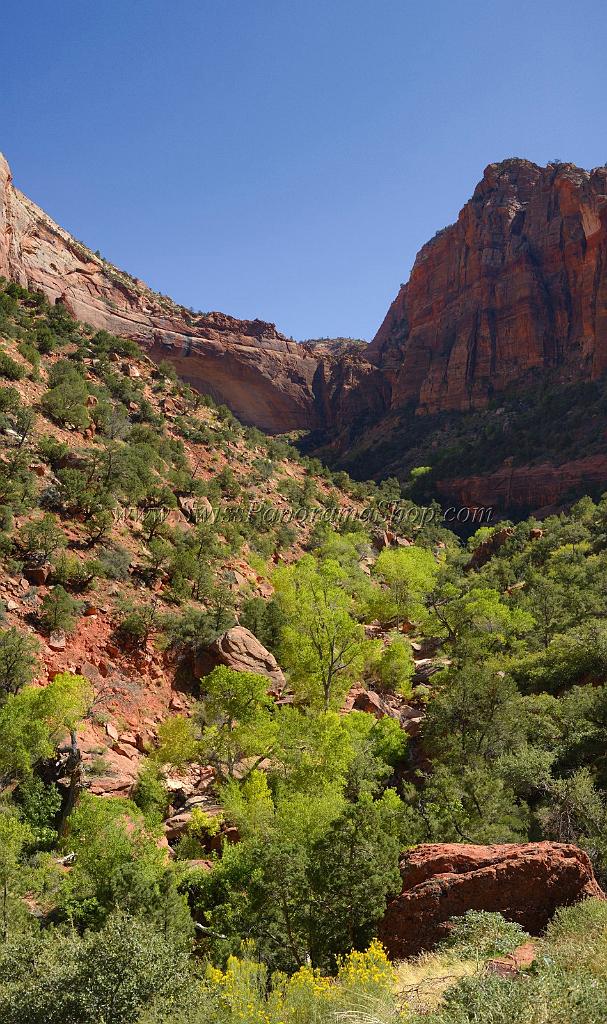10499_11_10_2011_zion_national_park_utah_mount_carmel_valley_scenic_canyon_red_rock_outlook_autum_color_tree_panoramic_landscape_photography_panorama_landschaft_11_5001x8425.jpg