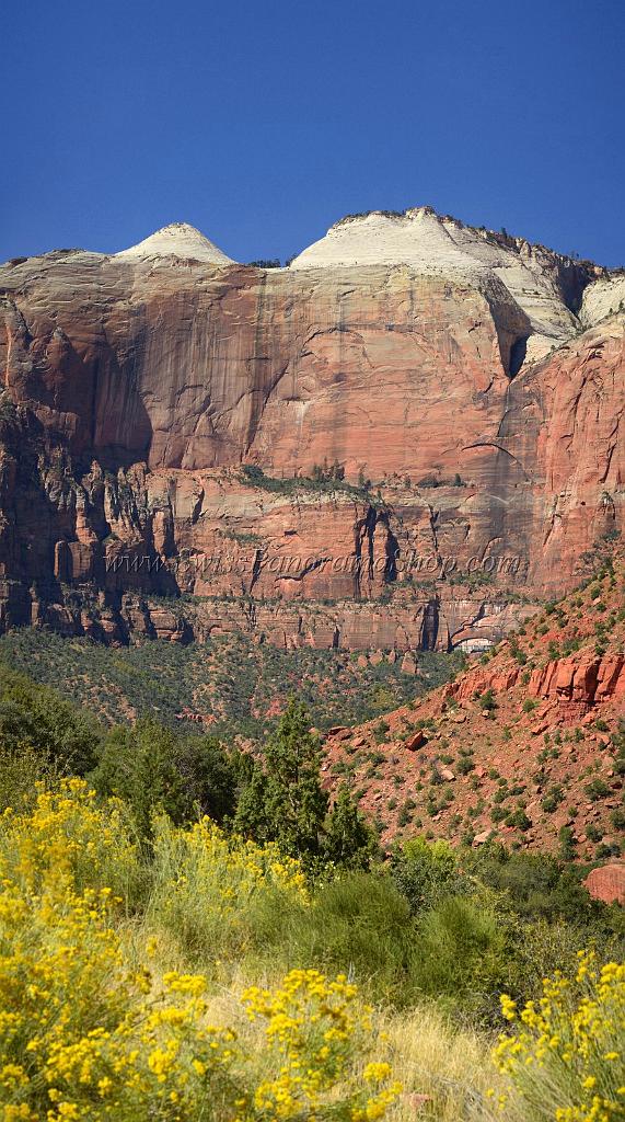 10501_11_10_2011_zion_national_park_utah_mount_carmel_valley_scenic_canyon_red_rock_outlook_autum_color_tree_panoramic_landscape_photography_panorama_landschaft_13_4781x8572.jpg