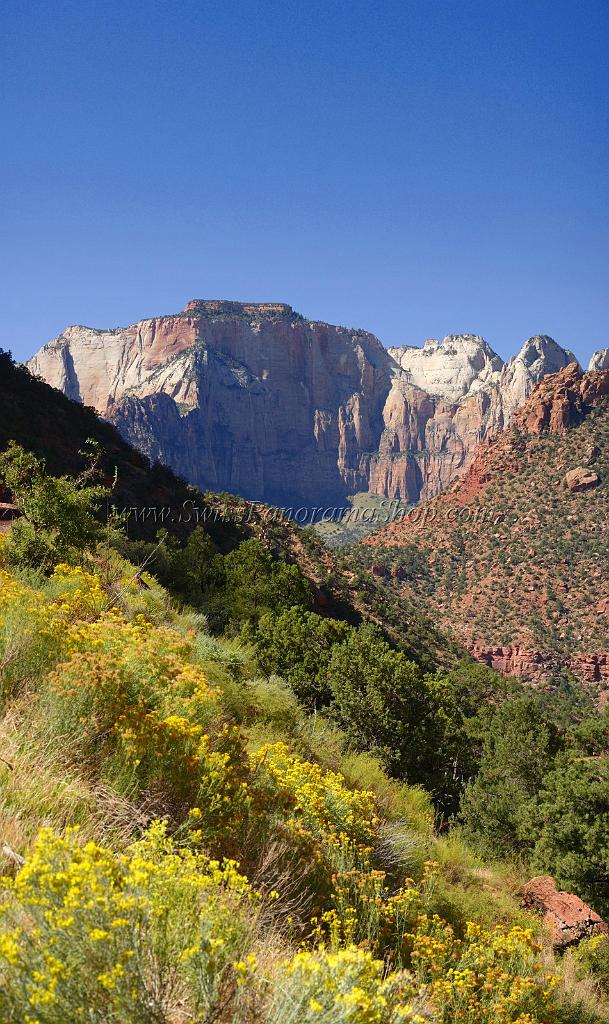 10502_11_10_2011_zion_national_park_utah_mount_carmel_valley_scenic_canyon_red_rock_outlook_autum_color_tree_panoramic_landscape_photography_panorama_landschaft_14_4874x8198.jpg