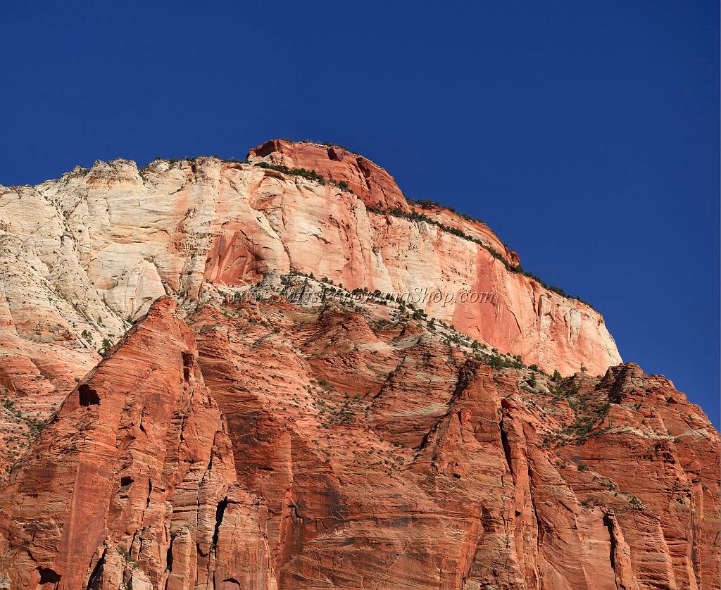 10508_11_10_2011_zion_national_park_utah_mount_carmel_valley_scenic_canyon_red_rock_outlook_autum_color_tree_panoramic_landscape_photography_panorama_landschaft_20_8300x6791.jpg