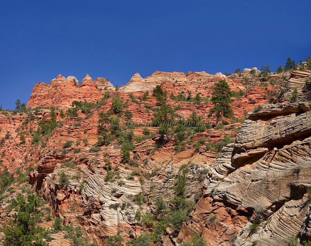 10509_11_10_2011_zion_national_park_utah_mount_carmel_valley_scenic_canyon_red_rock_outlook_autum_color_tree_panoramic_landscape_photography_panorama_landschaft_21_8348x6586.jpg