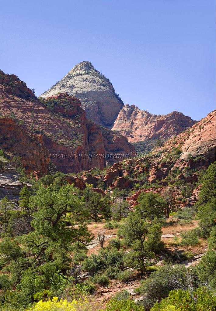 10513_11_10_2011_zion_national_park_utah_mount_carmel_valley_scenic_canyon_red_rock_outlook_autum_color_tree_panoramic_landscape_photography_panorama_landschaft_25_4693x6768.jpg