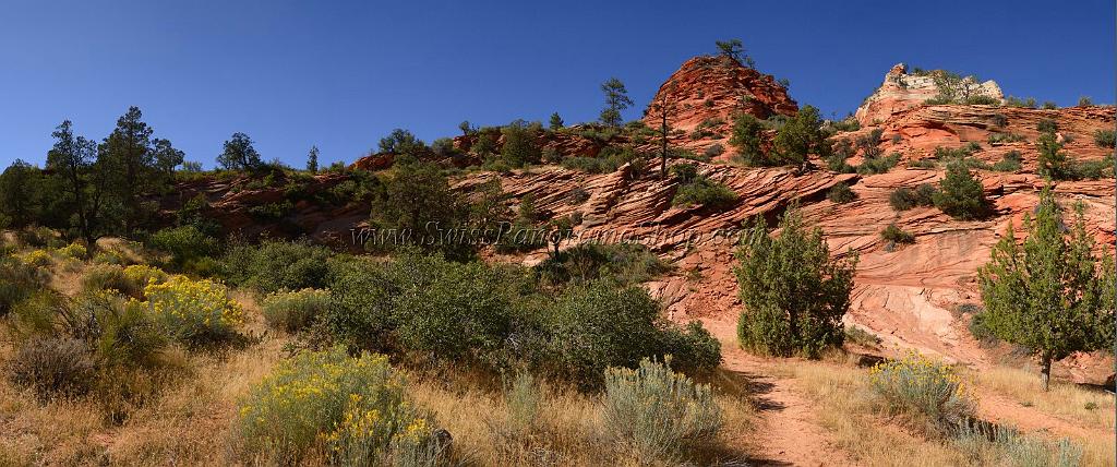 10536_11_10_2011_zion_national_park_utah_mount_carmel_valley_scenic_canyon_red_rock_outlook_autum_color_tree_panoramic_landscape_photography_panorama_landschaft_48_11966x5006.jpg