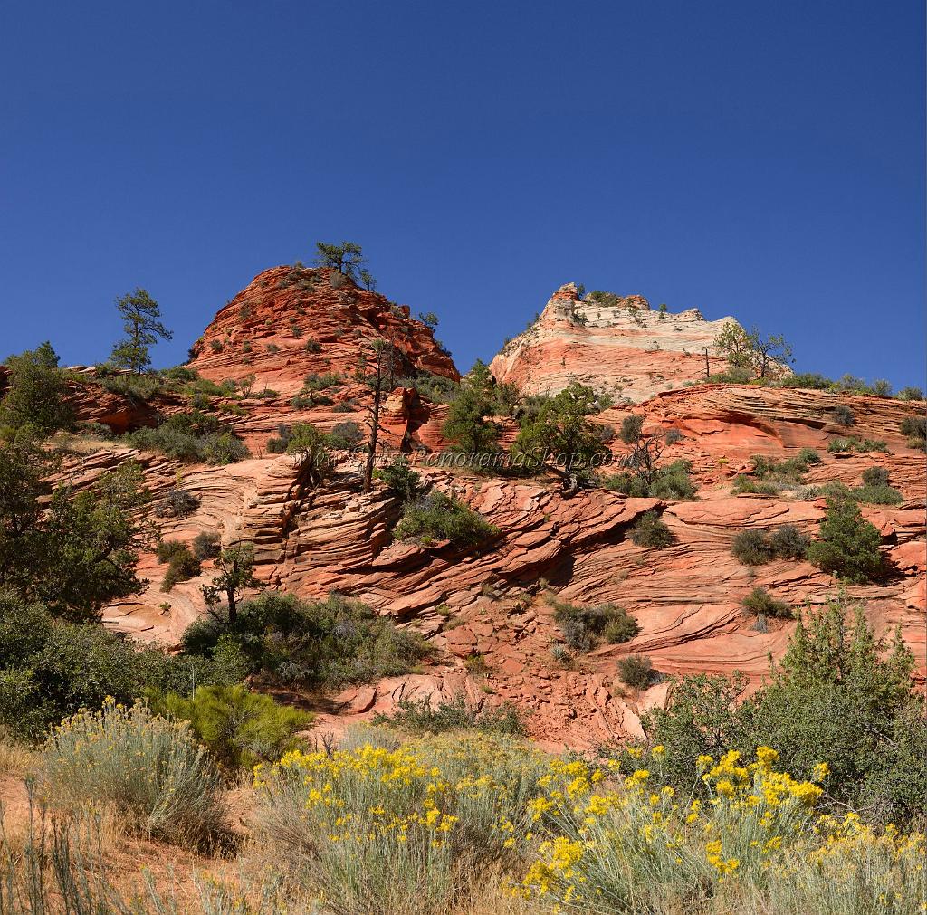 10538_11_10_2011_zion_national_park_utah_mount_carmel_valley_scenic_canyon_red_rock_outlook_autum_color_tree_panoramic_landscape_photography_panorama_landschaft_50_7936x7840.jpg