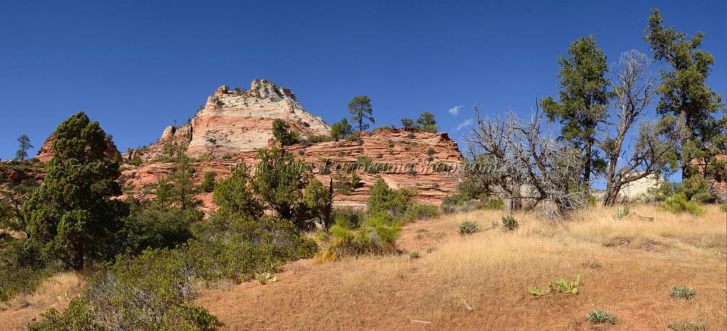 10545_11_10_2011_zion_national_park_utah_mount_carmel_valley_scenic_canyon_red_rock_outlook_autum_color_tree_panoramic_landscape_photography_panorama_landschaft_57_11058x5043.jpg