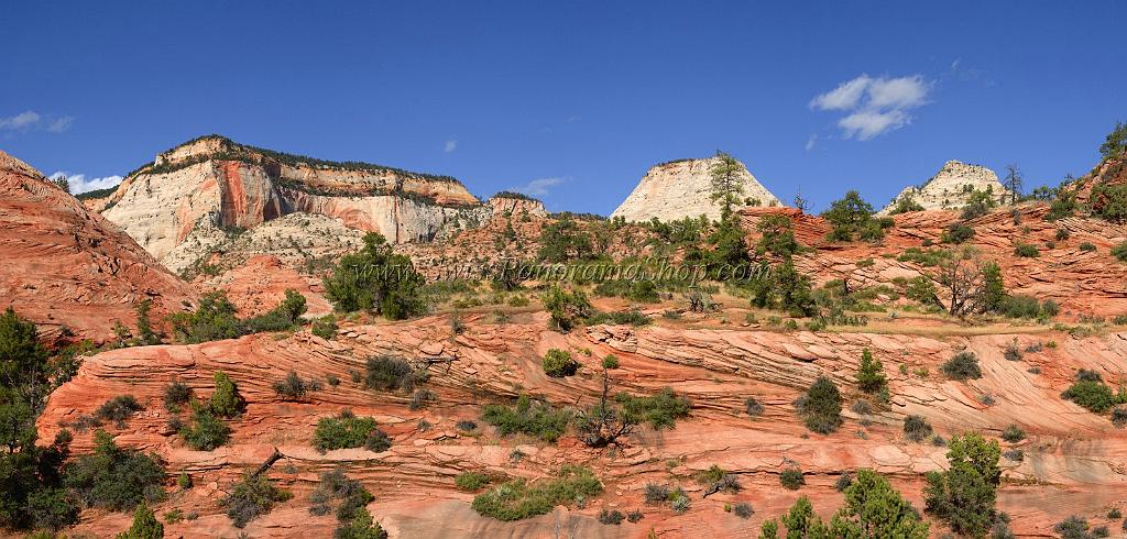 10549_11_10_2011_zion_national_park_utah_mount_carmel_valley_scenic_canyon_red_rock_outlook_autum_color_tree_panoramic_landscape_photography_panorama_landschaft_61_10036x4806.jpg