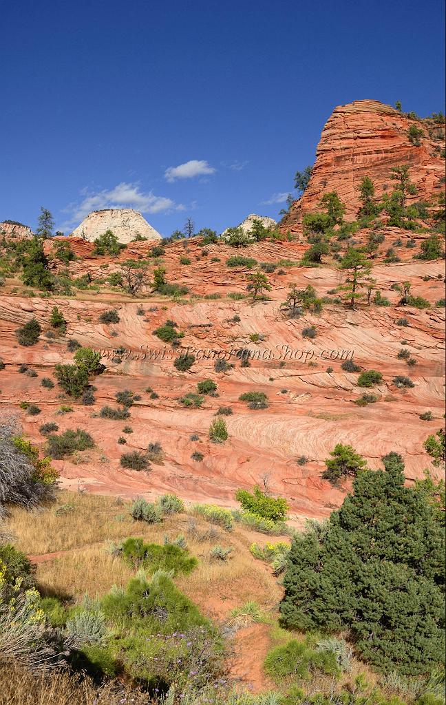 10551_11_10_2011_zion_national_park_utah_mount_carmel_valley_scenic_canyon_red_rock_outlook_autum_color_tree_panoramic_landscape_photography_panorama_landschaft_63_4923x7782.jpg