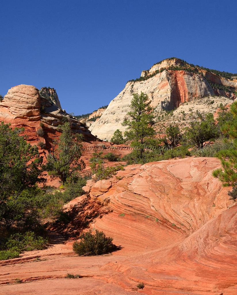 10557_11_10_2011_zion_national_park_utah_mount_carmel_valley_scenic_canyon_red_rock_outlook_autum_color_tree_panoramic_landscape_photography_panorama_landschaft_69_4714x5857.jpg