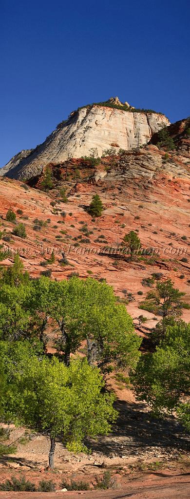 10562_11_10_2011_zion_national_park_utah_mount_carmel_valley_scenic_canyon_red_rock_outlook_autum_color_tree_panoramic_landscape_photography_panorama_landschaft_74_4596x12039.jpg