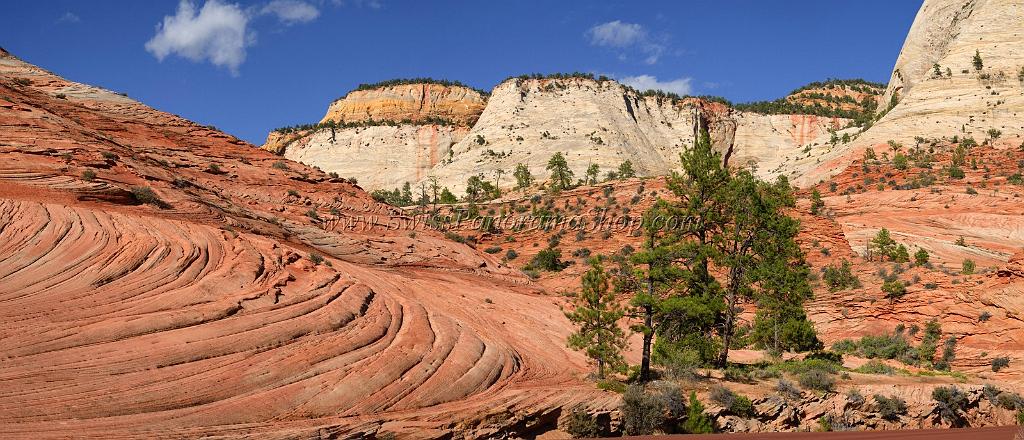 10566_11_10_2011_zion_national_park_utah_mount_carmel_valley_scenic_canyon_red_rock_outlook_autum_color_tree_panoramic_landscape_photography_panorama_landschaft_78_11159x4800.jpg