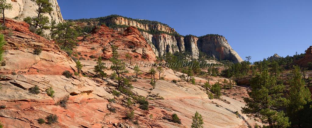 10571_11_10_2011_zion_national_park_utah_mount_carmel_valley_scenic_canyon_red_rock_outlook_autum_color_tree_panoramic_landscape_photography_panorama_landschaft_83_11785x4856.jpg