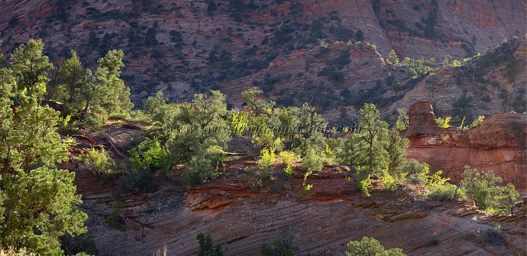 10579_11_10_2011_zion_national_park_utah_mount_carmel_valley_scenic_canyon_red_rock_outlook_autum_color_tree_panoramic_landscape_photography_panorama_landschaft_91_9273x4523.jpg