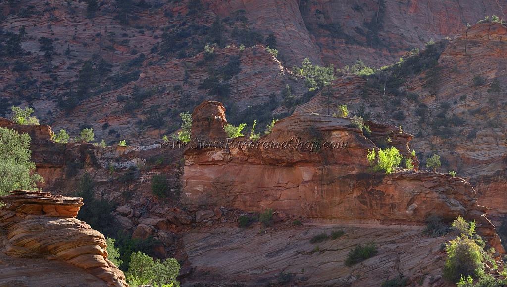 10581_11_10_2011_zion_national_park_utah_mount_carmel_valley_scenic_canyon_red_rock_outlook_autum_color_tree_panoramic_landscape_photography_panorama_landschaft_93_8189x4639.jpg