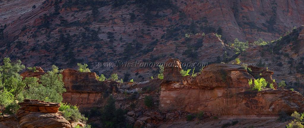 10582_11_10_2011_zion_national_park_utah_mount_carmel_valley_scenic_canyon_red_rock_outlook_autum_color_tree_panoramic_landscape_photography_panorama_landschaft_94_9927x4198.jpg