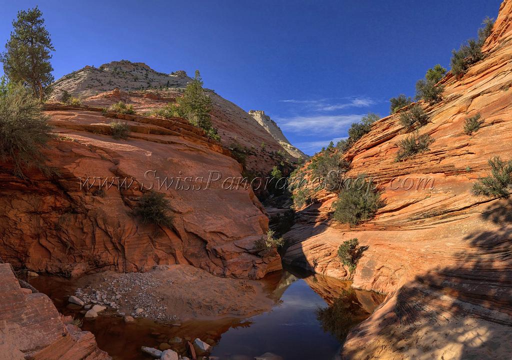 15961_29_09_2014_zion_national_park_mount_carmel_utah_autumn_red_rock_blue_sky_fall_color_colorful_tree_mountain_forest_panoramic_landscape_photography_herbst_41_10416x7327.jpg