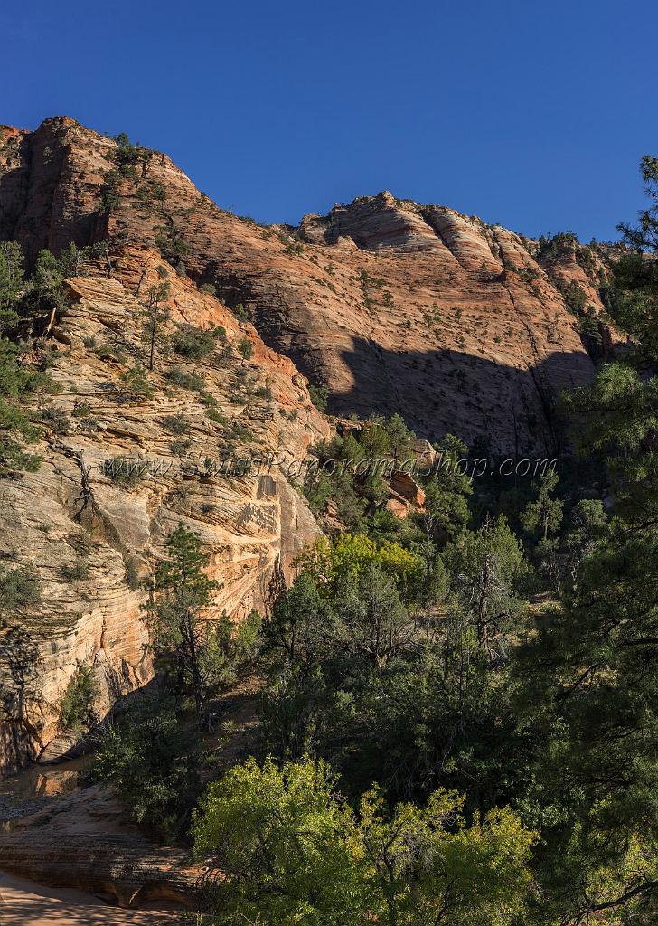 15970_29_09_2014_zion_national_park_mount_carmel_utah_autumn_red_rock_blue_sky_fall_color_colorful_tree_mountain_forest_panoramic_landscape_photography_herbst_55_6831x9610.jpg