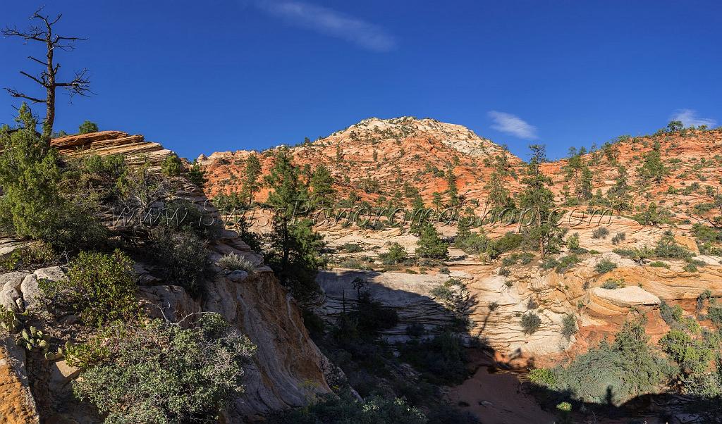 15974_29_09_2014_zion_national_park_mount_carmel_utah_autumn_red_rock_blue_sky_fall_color_colorful_tree_mountain_forest_panoramic_landscape_photography_herbst_51_10633x6252.jpg