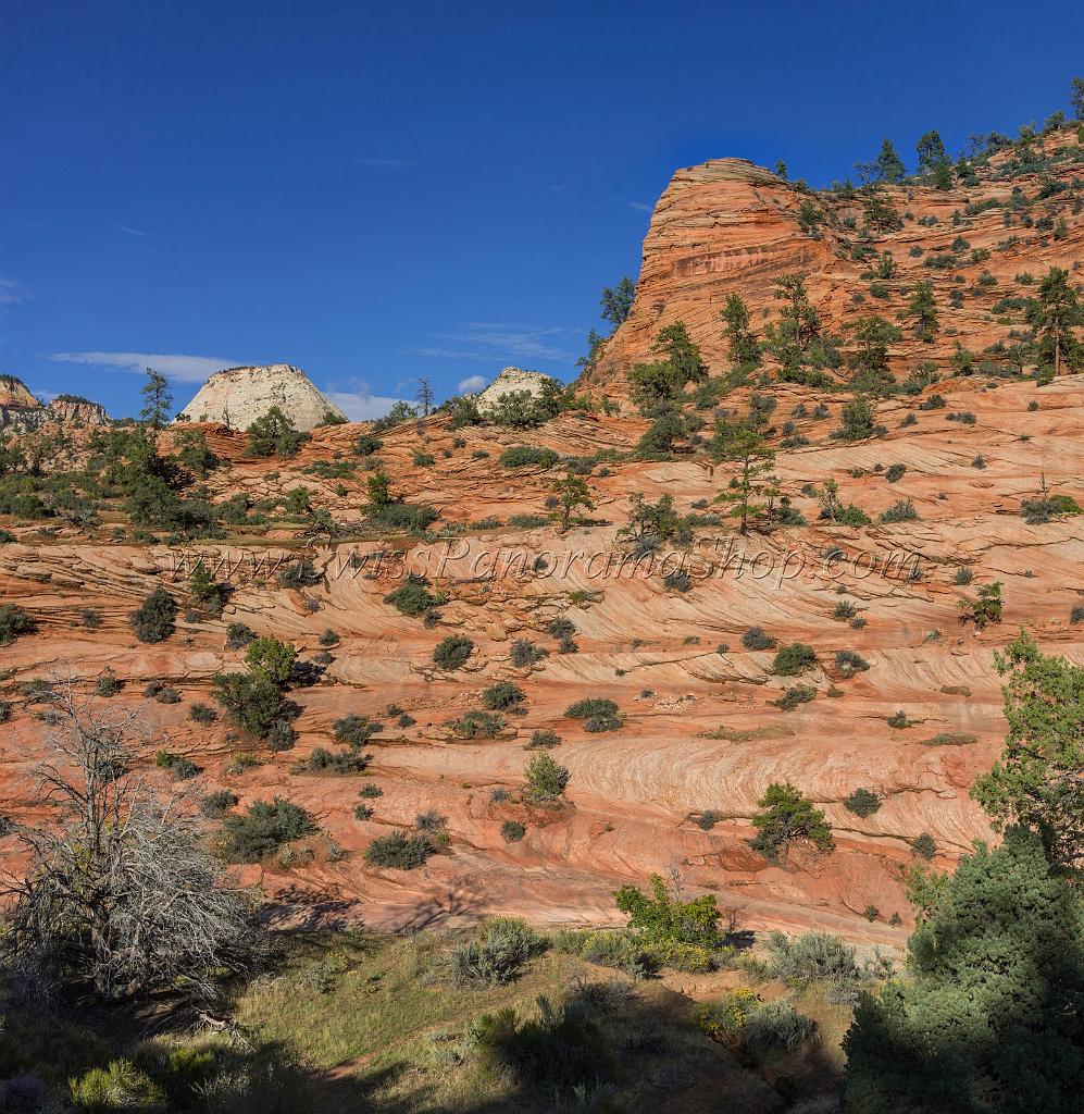 15976_29_09_2014_zion_national_park_mount_carmel_utah_autumn_red_rock_blue_sky_fall_color_colorful_tree_mountain_forest_panoramic_landscape_photography_herbst_48_6684x6863.jpg