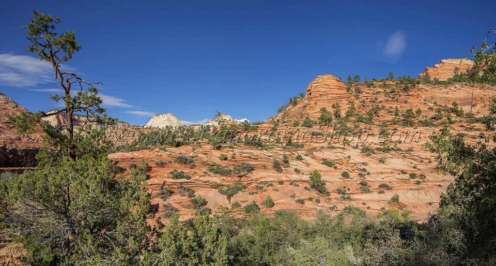 15977_29_09_2014_zion_national_park_mount_carmel_utah_autumn_red_rock_blue_sky_fall_color_colorful_tree_mountain_forest_panoramic_landscape_photography_herbst_46_9954x5345.jpg